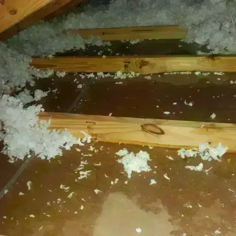 Attic Water Damage in Kingsland, TX