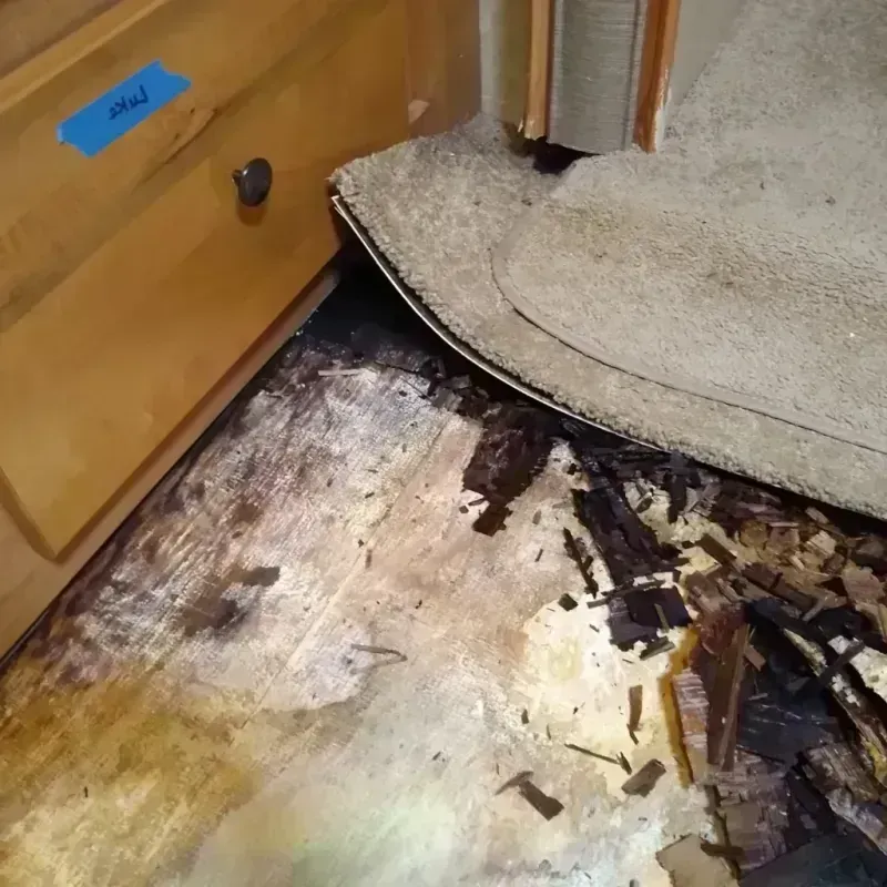 Wood Floor Water Damage in Kingsland, TX